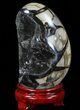 Septarian Dragon Egg Geode - Crystal Filled #88288-1